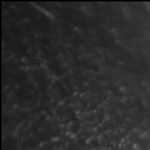 ポリカラッセル パイプ直柄 ステン補強板付＜組立式＞ （雪かき・雪おろし除雪作業用品）