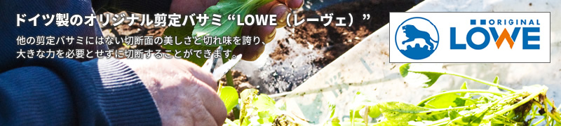 レーヴェ(LOWE)