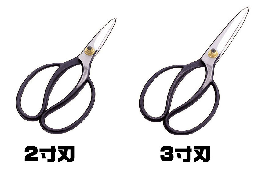 木助ライトサイズ