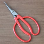 小林製鋏 ｽﾃﾝﾚｽぶどう間引鋏 175mm K-14