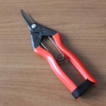 小林製鋏 採果・蜜柑切鋏 160mm S-20